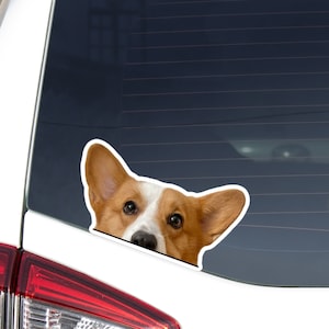 Red Corgi Car Sticker Decal / Peeking  Cardigan Welsh Corgi Head / Vinyl Waterproof Removable Outdoor / Window Bumper Laptop
