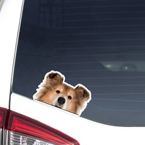 Rough Collie Car Sticker Decal / Peeking Tri Realistic Collie Dog Head / Vinyl Waterproof Removable Outdoor / Window Bumper Laptop Bottle