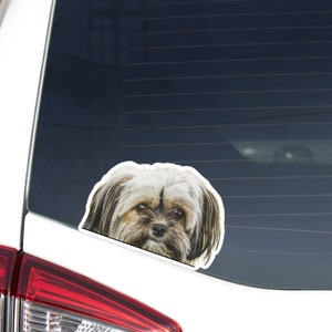 Double Colored Shih Tzu Car Decal Sticker / Peeking Shih Tzu Dog Head  / Vinyl Waterproof Removable Outdoor / Bumper Window Laptop Phone