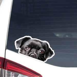 Peeking Brussels Griffon Car Decal Sticker / Black Griffon Dog Head Face / Vinyl Waterproof Removable Outdoor / Bumber Window Laptop (Co