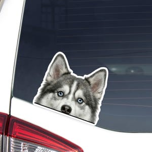 May include: A sticker featuring a close-up of a Siberian Husky dog's face with striking blue eyes and gray and white fur. The sticker is applied to a car window, with the dog's head peeking over the edge.