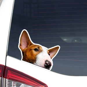 Peeking Bull Terrier Car Decal Sticker / Red & White Bullterrier Dog Head / Vinyl Waterproof Removable Outdoor / Bumber Window Laptop Bottle