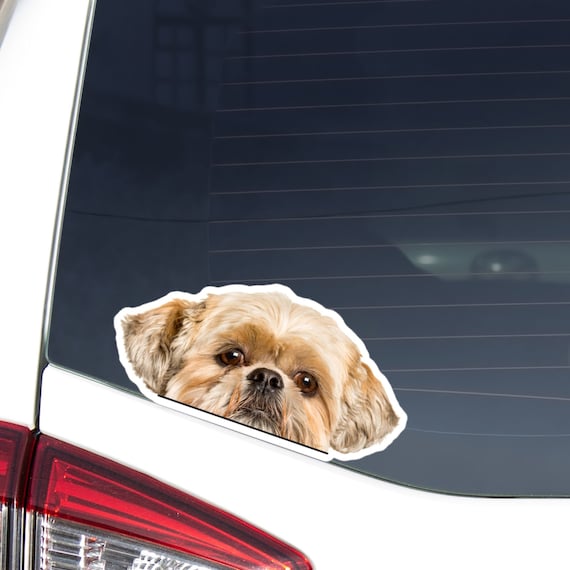 If My Dog Doesn't Like You, Neither Do I - Waterproof Car, Window, Laptop, Water  bottle Decals Stickers
