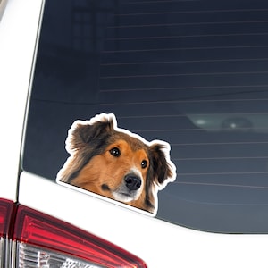 Sable Rough Collie Car Sticker Decal / Peeking Realistic Collie Dog Head / Vinyl Waterproof Removable Outdoor / Window Bumper Laptop Phone