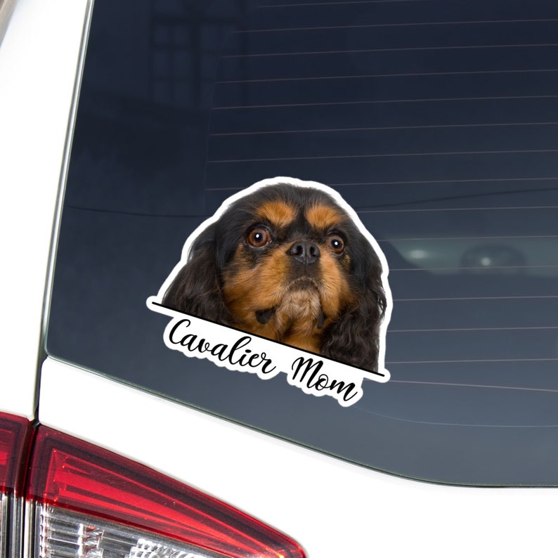 Cavalier King Charles Spaniel Mom Car Decal - Peeking Black & Tan Dog ...