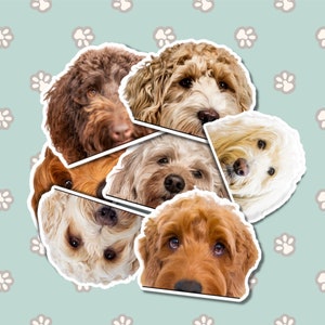 Peeking Golden Doodle Car Decal Sticker / Golden Doodle Dog Head / Bumper Window Laptop Bottle / Vinyl Waterproof Removable Outdoor