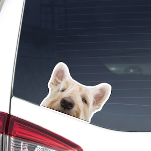 Wheaten Scottish Terrier Car Decal Sticker / Peeking Scottie Dog Head / Vinyl Removable Waterproof Outdoor / Bumper Window Phone Laptop