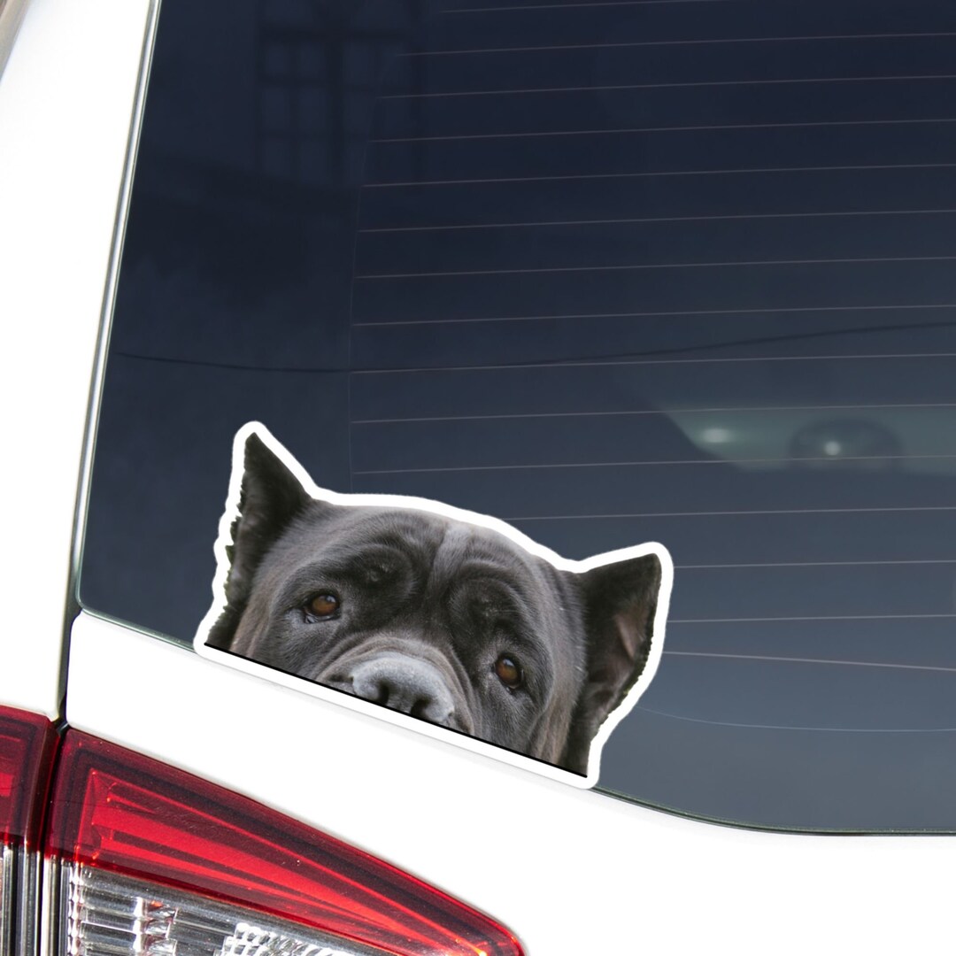 Black Cane Corso Car Decal Sticker / Peeking Italian Mastiff Dog Head
