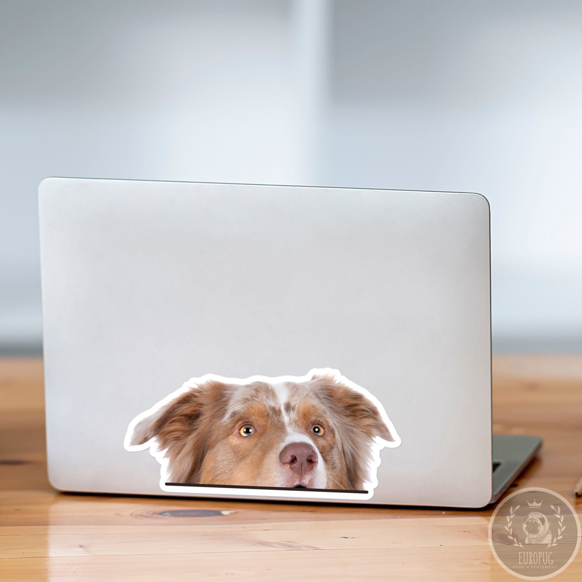 Peeking Australian Shepherd Car Decal Sticker / Realistic Red Etsy