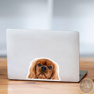 Cavalier King Charles Spaniel Car Decal - Peeking Ruby Dog Waterproof ...