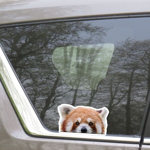 Peeking Red Panda Car Sticker /  One Decal Kawaii Cute Realistic Red Panda Head / Vinyl Waterproof  Removable Outdoor / Bumper Window Bottle