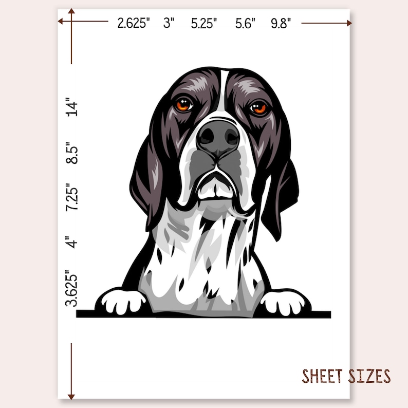 Realistic English Pointer Car Decal Sticker / Peeking Pointer - Etsy