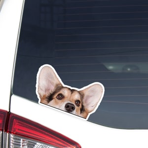 Tricolor Corgi Car Sticker Decal / Peeking Welsh Tri Corgi Dog Head / Vinyl Waterproof Removable Outdoor / Window Bumper Laptop Phone