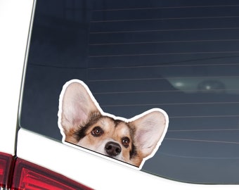 May include: A car window sticker featuring a close-up of a dog's face peeking out from behind the window. The dog has brown and black fur, with large, dark eyes and a pink nose.