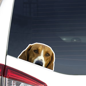 American Foxhound Car Decal Sticker / Peeking Tan&White Foxhound Head / Vinyl Waterptroof Outdoor Removable / Bumper Window Laptop Phone