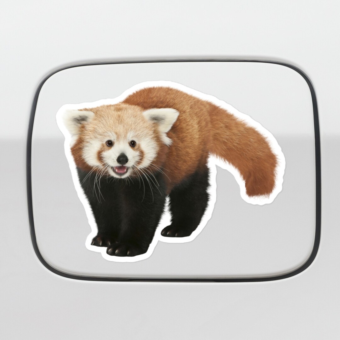 Red Panda Car Decal Sticker / Realistic Cute Red Panda Natural Etsy