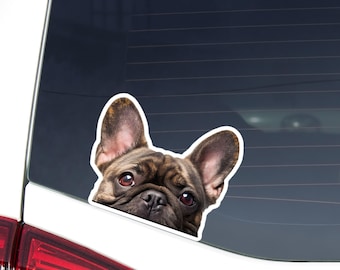 Brindle French Bulldog Car Decal - Peeking Frenchie Dog Waterproof Vinyl Sticker