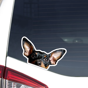 May include: A black and brown dog with large ears peeks out from behind a car window. The dog's head is visible, with its eyes looking directly at the camera.