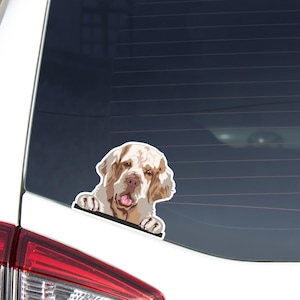 Clumber Spaniel Car Decal Sticker / Peeking Realistic White Lemon Dog Head Face / Vinyl Waterproof / Custom Name Personalized /Bumper Window
