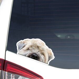May include: A die-cut sticker featuring a close-up of a fluffy, light brown dog's face. The dog has a black nose and is partially visible, with a white border. The sticker is affixed to a car window.