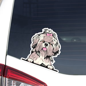 Brindle & White Shih Tzu Car Sticker Decal / Peeking Realistic Shih Tzu Vinyl Bumper Window Outdoor Removable Waterproof / Dog Paws Up Wall