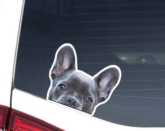 Blue French Bulldog Car Decal - Peeking Frenchie Waterproof Vinyl Sticker