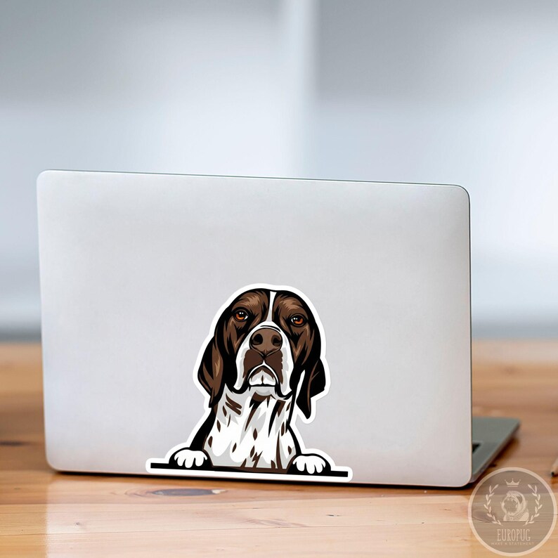 Liver & White English Pointer Car Decal: Personalization Peeking Dog ...