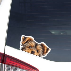 Yorkie hotsell poo gifts