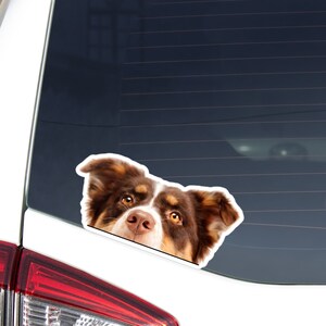 May include: A sticker featuring a brown and white dog peeking over a surface. The dog has brown fur, white markings, and brown eyes. The sticker is placed on a white surface, with a red taillight visible.