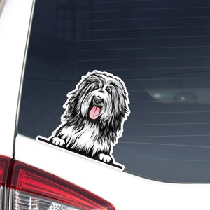 Bearded Collie Car Decal Sticker / Peeking Blue&White Dog Head Face  / Vinyl Waterproof Removable Outdoor / Bumper Window Laptop Phone