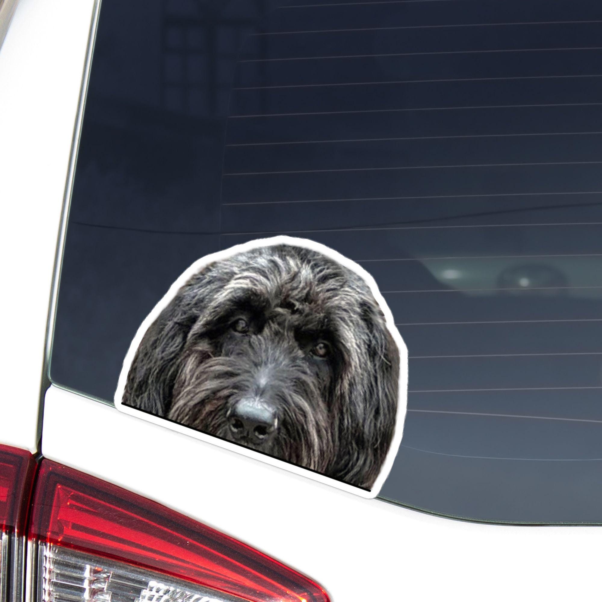 Black Russian Terrier Car Decal Sticker / Peeking Realistic Dog Head Face / Vinyl Waterproof Removable Outdoor / Bumper Window