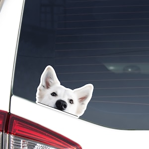 Berger Blanc Suisse Car Decal Sticker / Peeking Realistic White Dog Head Face / Vinyl Waterproof Removable Outdoor / Bumper Window Laptop