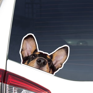 Smooth Collie Car Sticker Decal / Peeking Black Tan Collie Dog Head Face / Vinyl Waterproof Removable Outdoor / Window Bumper Laptop