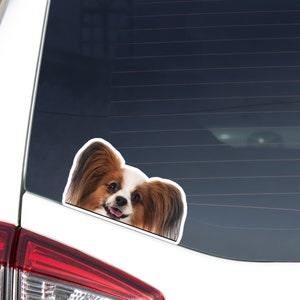 White Sable Papillon Car Decal Sticker / Peeking Realistic Dog Head / Vinyl Waterproof Removable Outdoor / Bumper Window Laptop Phone
