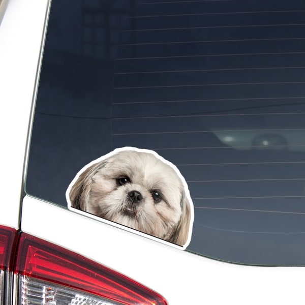 Silver&White Shih Tzu Car Decal Sticker / Peeking Photo Shih Tzu Dog Head  / Vinyl Waterproof Removable Outdoor / Bumper Window Laptop Phone