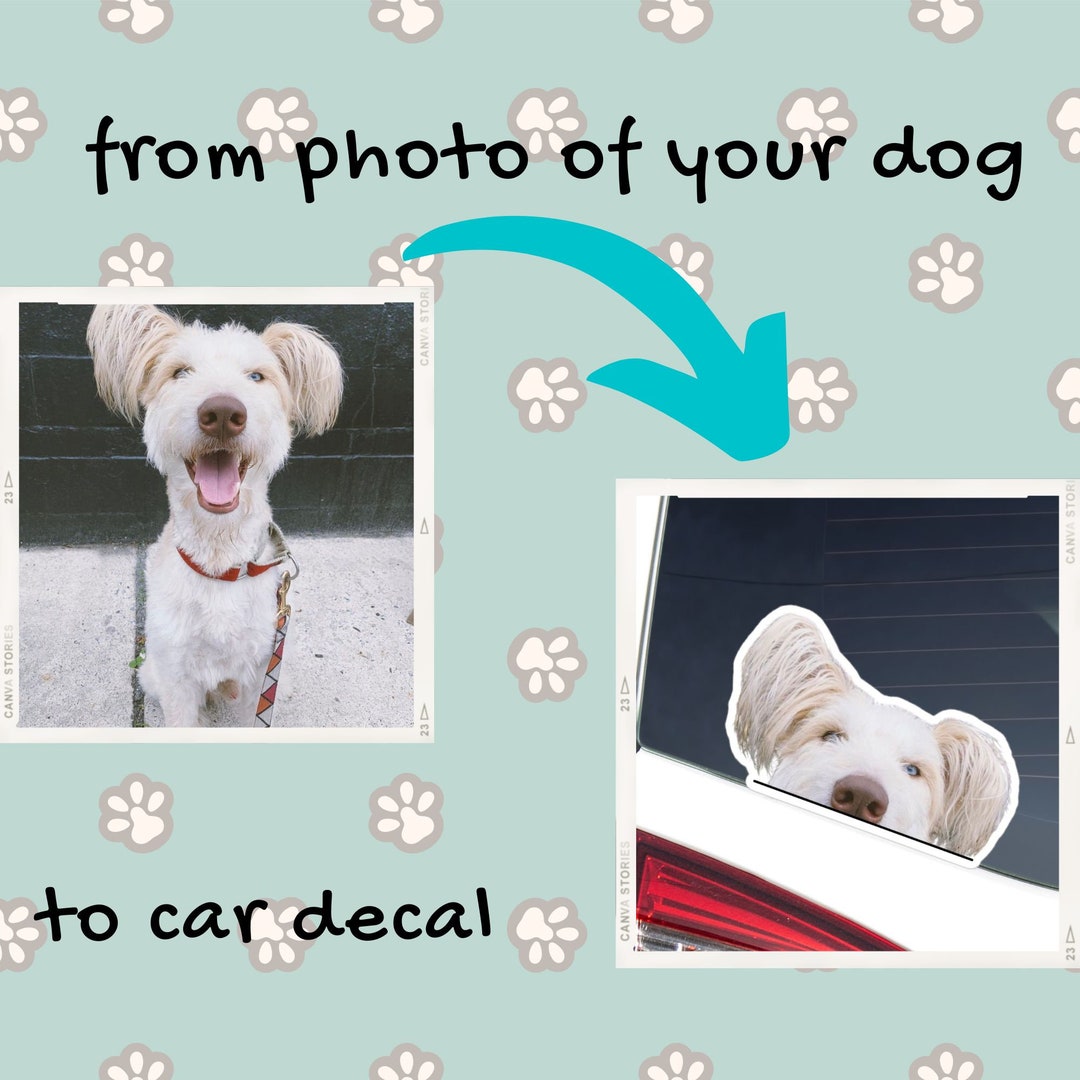 Custom Car Decal From Your Dog's Photo / Car Sticker / Personalized Dog Decal / Vinyl Waterproof