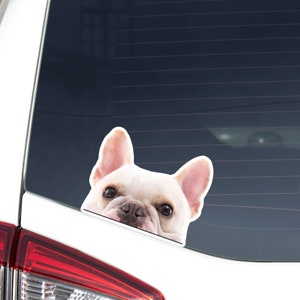 White French Bulldog Car Decal Sticker / Peeking Realistic Frenchie Dog Head / Vinyl Waterproof Removable / Bumper Window Laptop Phone