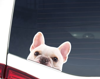 White French Bulldog Car Decal - Peeking Frenchie Dog Waterproof Sticker