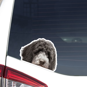Spanish Water Dog Car Decal Sticker / Peeking Photo Black White Dog Head Face / Vinyl Removable Waterproof Outdoor / Bumper Window Laptop
