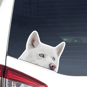White Husky Car Sticker Decal / Peeking Husky Blue Eyes Head / Window Bumper Laptop / Vinyl Removable Waterproof Outdoor / Bumper Window