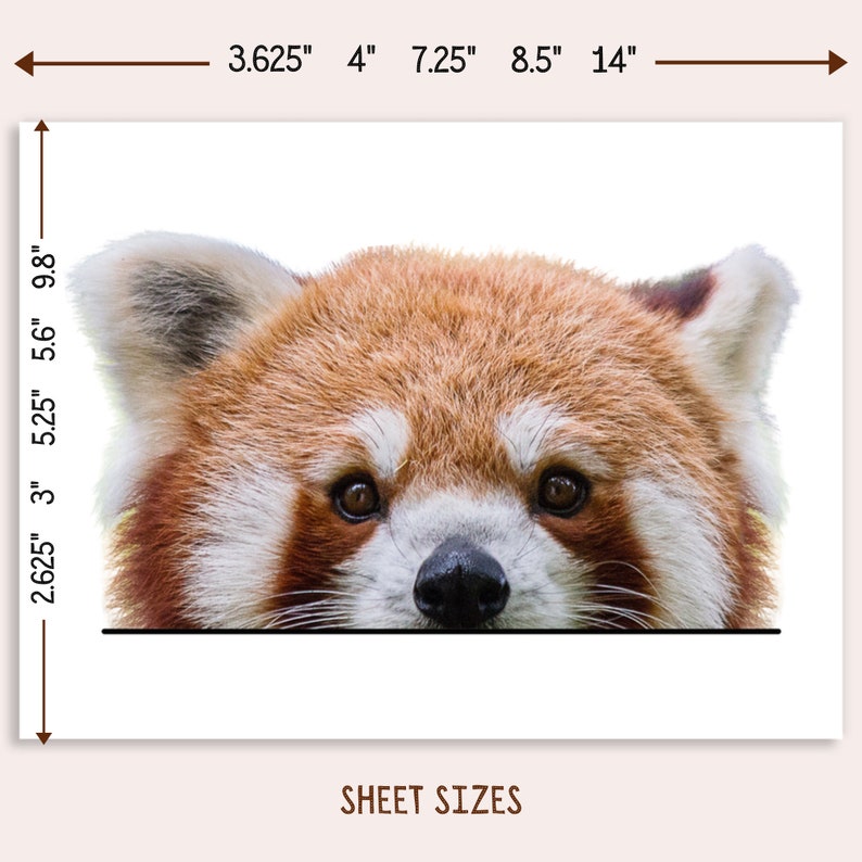Peeking Red Panda Car Sticker / One Decal Kawaii Cute Etsy
