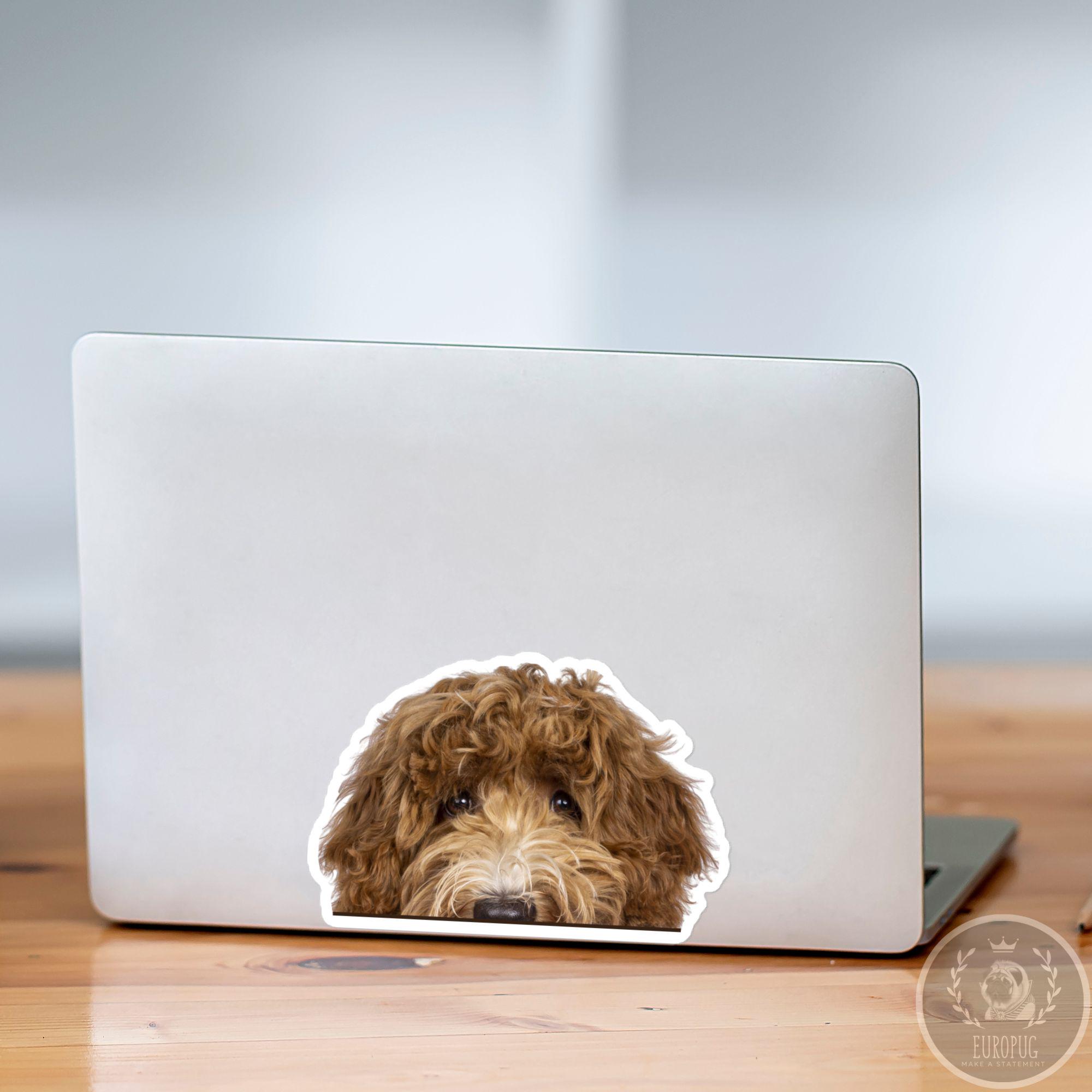 Labradoodle Car Decal - Peeking Brown Cobberdog Waterproof Sticker - Etsy