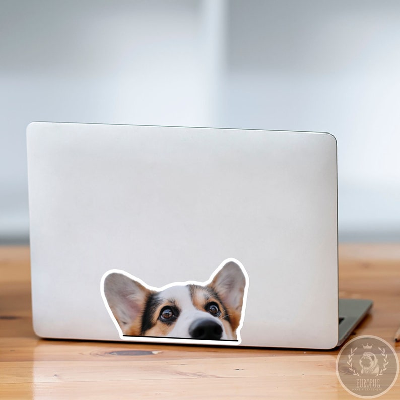 Tricolor Corgi Car Sticker Decal / Peeking Welsh Tri Corgi Head / Vinyl Waterproof Removable Outdoor / Window Bumper Laptop Bottle image 5