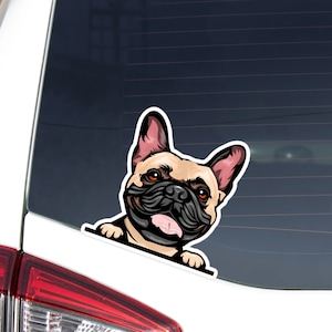 Realistic French Bulldog Car Decal / Peeking Fawn Frenchie Car Sticker / Car Bumper Window Laptop Vinyl Waterproof Decal