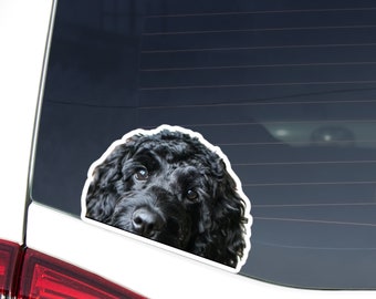 Black Cavapoo Car Decal - Peeking Dog Head, Waterproof Sticker