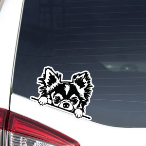 Custom Chihuahua Head Car Decal Sticker / Peeking Longhair Chihuahua On Board Bumper Window Laptop / Vinyl Waterproof Removable Outdoor