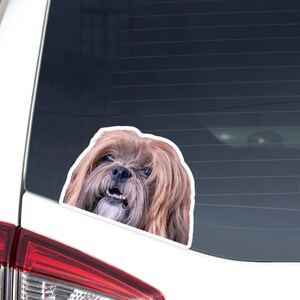 May include: A sticker featuring a brown and tan Shih Tzu dog with a white border. The dog's face is visible, with its mouth slightly open. The sticker is placed on a car window.