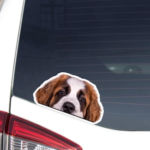 Saint-Bernard Car Decal Sticker / Peeking White & Orange Bernie Puppy Dog Head Face / Vinyl Waterproof Removable Outdoor / Bumper Window
