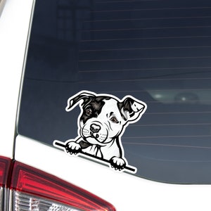 Pitbull With Black Patch Car Decal Sticker / Peeking Pittie Dog Vinyl Car Bumper Window  / Waterproof Removable Outdoor Decal