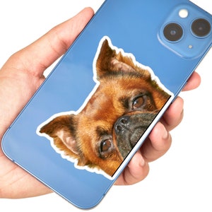 Op de afbeelding: Een close-up van de kop van een bruine en zwarte Brusselse Griffon die uit een blauwe iPhone steekt.